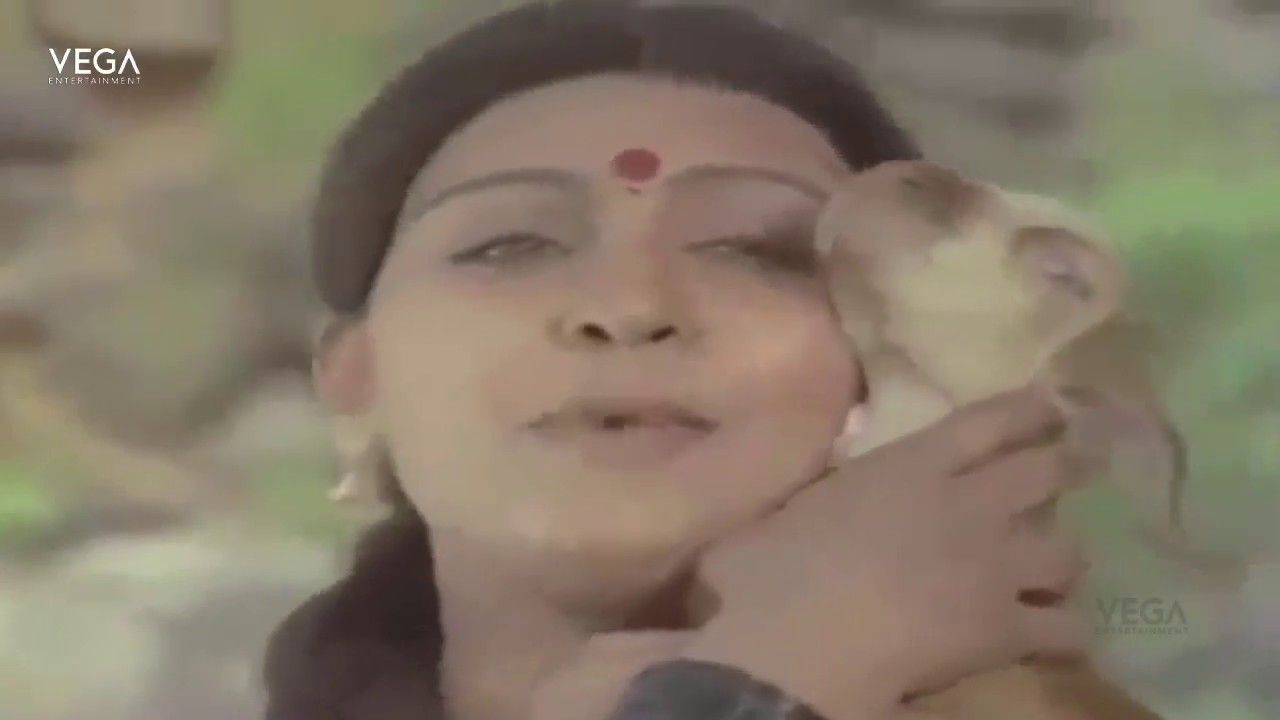 Boomi Neranjirukku Song Lyrics | Meendum Pallavi | P. Susheela