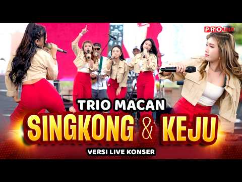 SINGKONG DAN KEJU - Trio Macan | Live Konser Putih Abu Abu (Official Music Video)