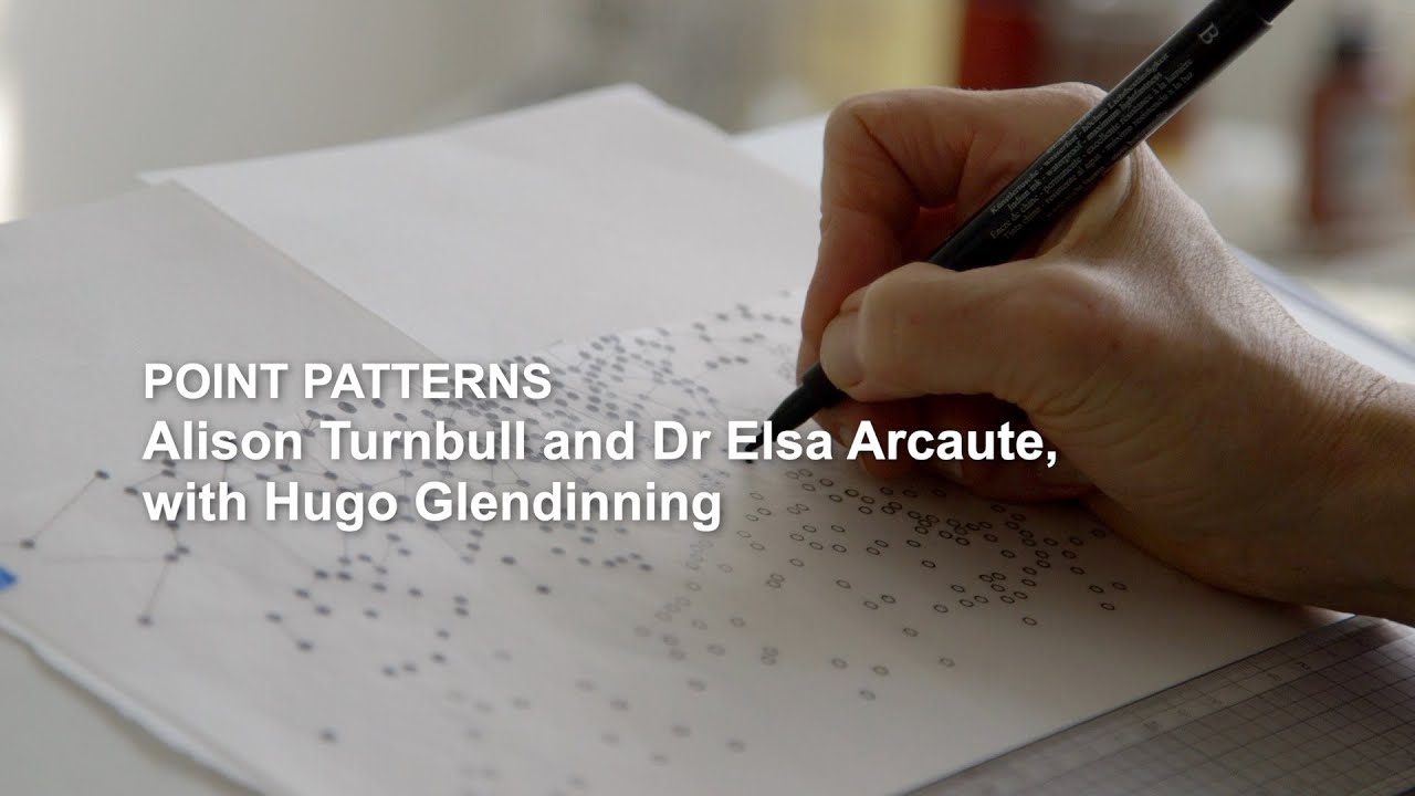 Trellis: Point Patterns, Alison Turnbull, Dr Elsa Arcaute, Hugo Glendinning