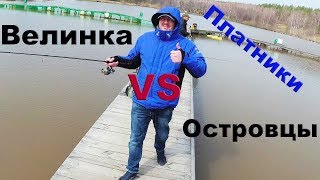 Ссылка