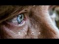 R A G E  - Motivational Video | A Life Changing Speech