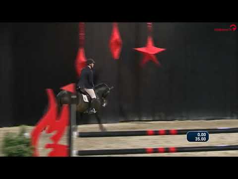 Stallion competition Lichtevoorde