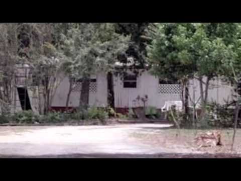 Three Little Words book trailer