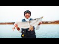 Video Thumbnail for Closing out open water fishing season (Big Pike)