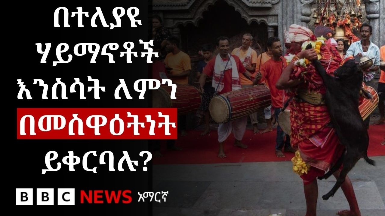 የኢድ አል-አድሃ በዓል የእርድ በዓል የሚባለው ለምንድን ነው? | BBC News አማርኛ