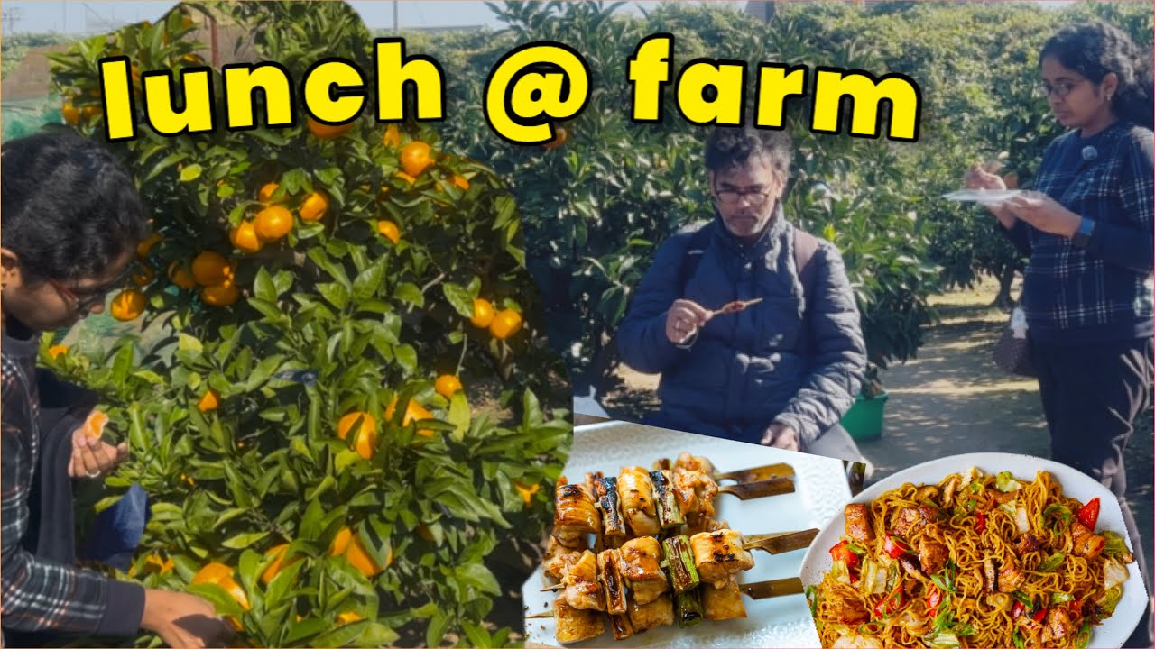 Japan farm visit | Beach surprise for family 