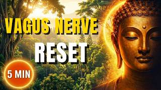 VAGUS NERVE RESET: 5 Minutes to Calm Your Nervous System (Guided Meditation)