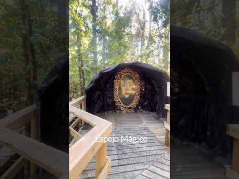 Espejo Mágico #bosqueencantado #magico #enchantedforest #araucania #pucón