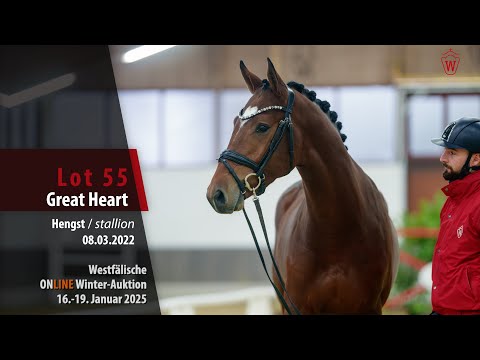 ONLINE Winter-Auktion Lot 55 Great Heart Hengst v. Grandorado TN - Cassini ll