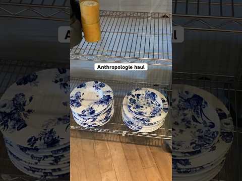 buying my dream dinner plates, but on sale