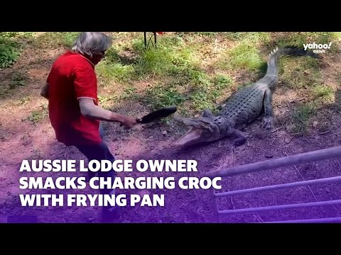 Aussie smacks charging crocodile with frying pan | Yahoo Australia