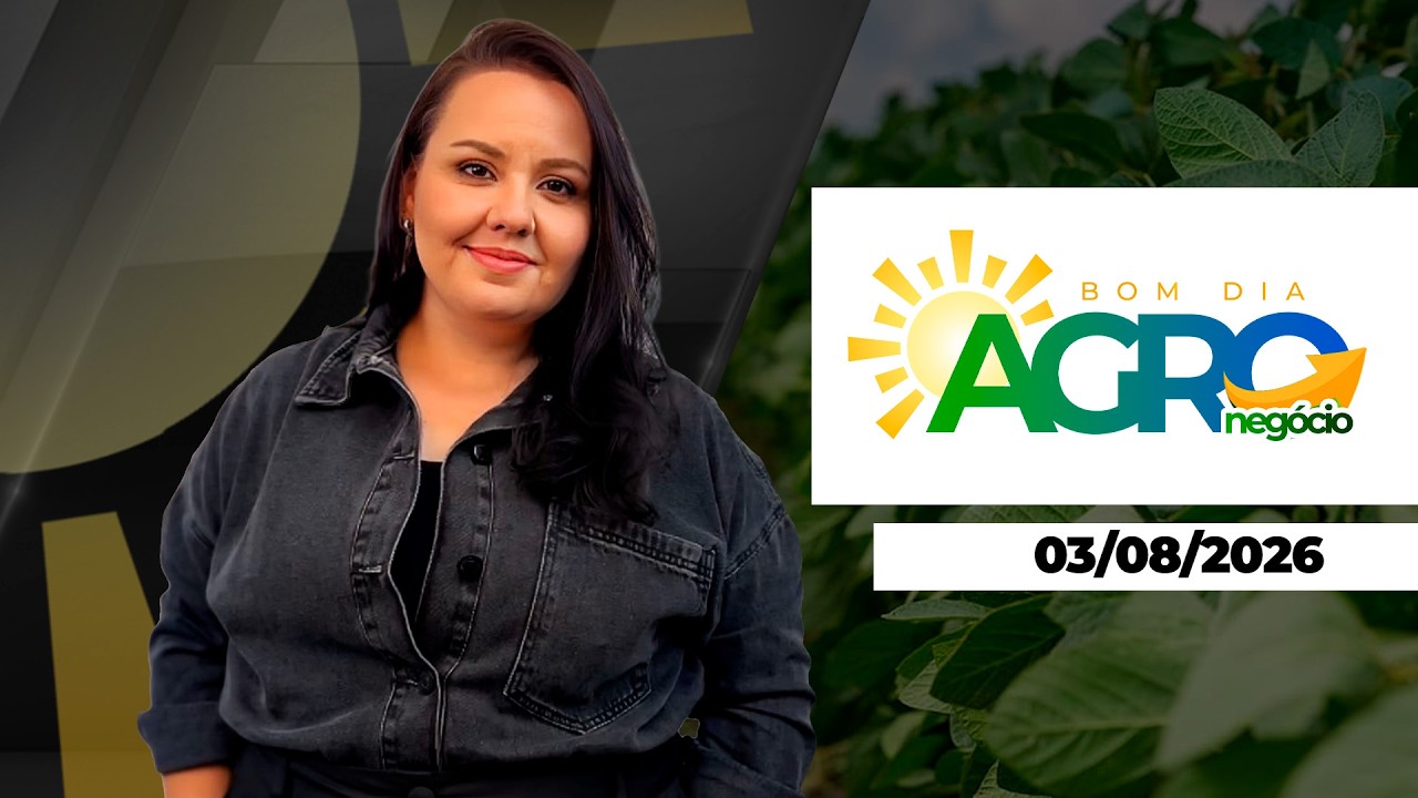 BOM DIA AGRONEGOCIO - EDIÇÃO 03-08-2026