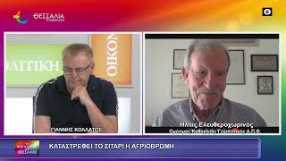 ΚΑΤΑΣΤΡΕΦΕΙ ΤΟ ΣΙΤΑΡΙ Η ΑΓΡΙΟΒΡΩΜΗ ΗΛΙΑΣ ΕΛΕΥΘΕΡΟΧΩΡΙΝΟΣ 19 05 2026 ΚΑΤΑΣΤΡΕΦΕΙ ΤΟ ΣΙΤΑΡΙ Η ΑΓΡΙΟΒΡΩΜΗ ΗΛΙΑΣ ΕΛΕΥΘΕΡΟΧΩΡΙΝΟΣ 19 05 2026