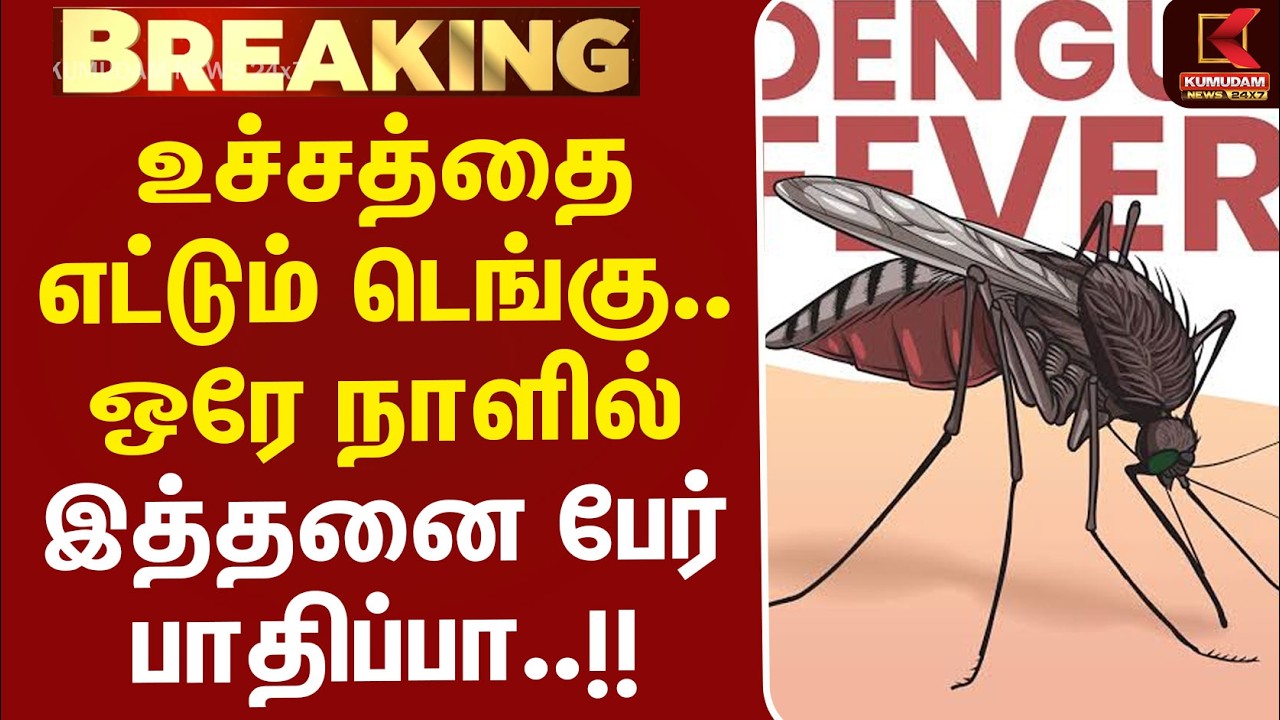 #BREAKING | Dengue Fever | உச்சத்தை எட்டும் டெங்கு.. ஒரே நாளில் இத்தனை பேர் பாதிப்பா..!!
