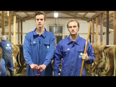 Svima - Gerum Það Aftur