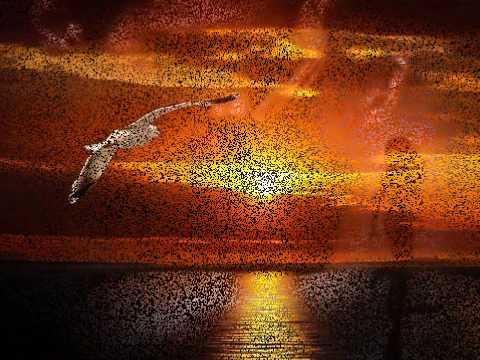 Nadieht - Windforce eleven