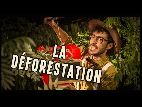 pourquoi la deforestation