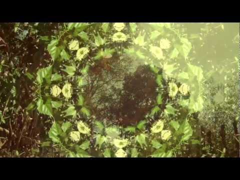 Video thumbnail for Clouds Above