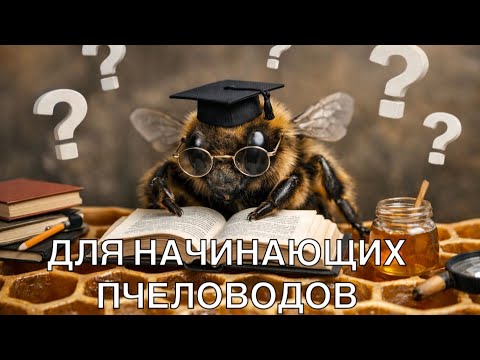 ТЕМ КТО ХОЧЕТ ЗАНЯТЬСЯ ПЧЕЛОВОДСТВОМ. ПЕРВЫЕ ВОПРОСЫ