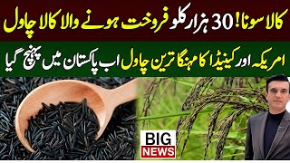 Black Rice Now in Pakistan | how to cultivate black rice | black rice benefits