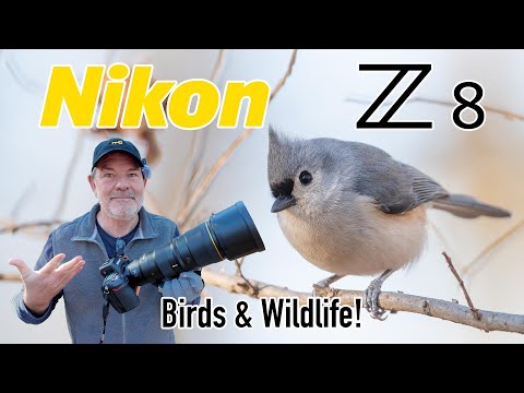 Nikon Z8 Bird & Wildlife Photography with the 600PF Telephoto Prime Lens!