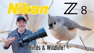 Nikon Z8 Bird & Wildlife Photography with the 600PF Telephoto Prime Lens!