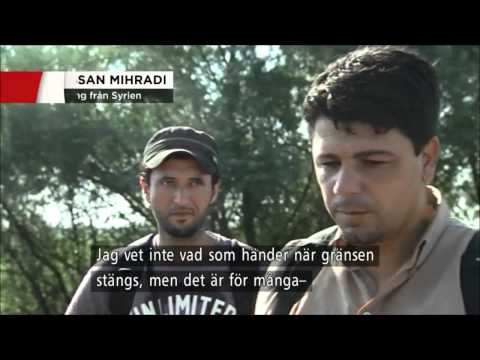 EU och Ungern stänger gränser