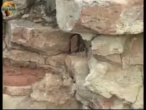 TV NEWS BUZAU - REPORTAJELE altfel - Arta la ea acasa - Vintila Voda - Buzau si alte...surprize