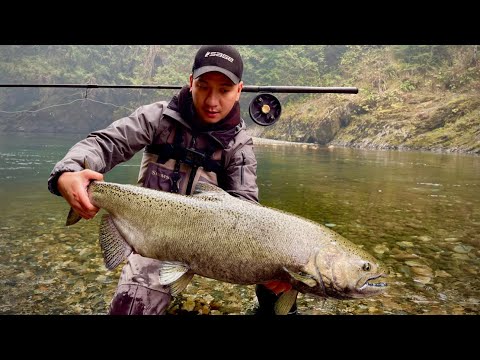 Vedder River - Chinook Salmon Fishing Fall 2022