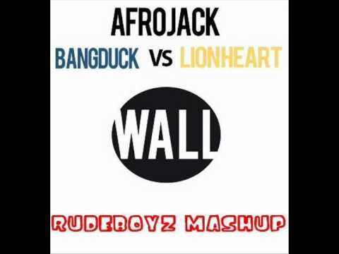 Afrojack - Bangduck Vs Lionheart (RudeBoyz MashUp)