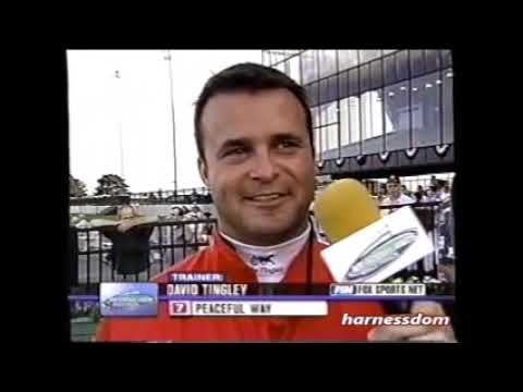 2004 Meadowlands PEACEFUL WAY John Campbell Hambletonian Oaks Elimination $25,000