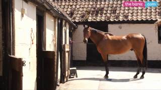 preview picture of video 'Instinctive Horse Training, Melanie Watson - networking with theBizniz'