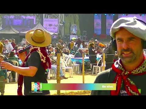 PATRONALES LOS REARTES 2026 - #ExperienciaRadioCalamuchita