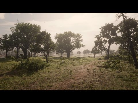 RDR 2 | Every Camp Interactions | Chapter 3 (Rare Encounters)