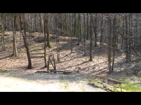 "Perla Apusenilor" reînvie pas cu pas 2