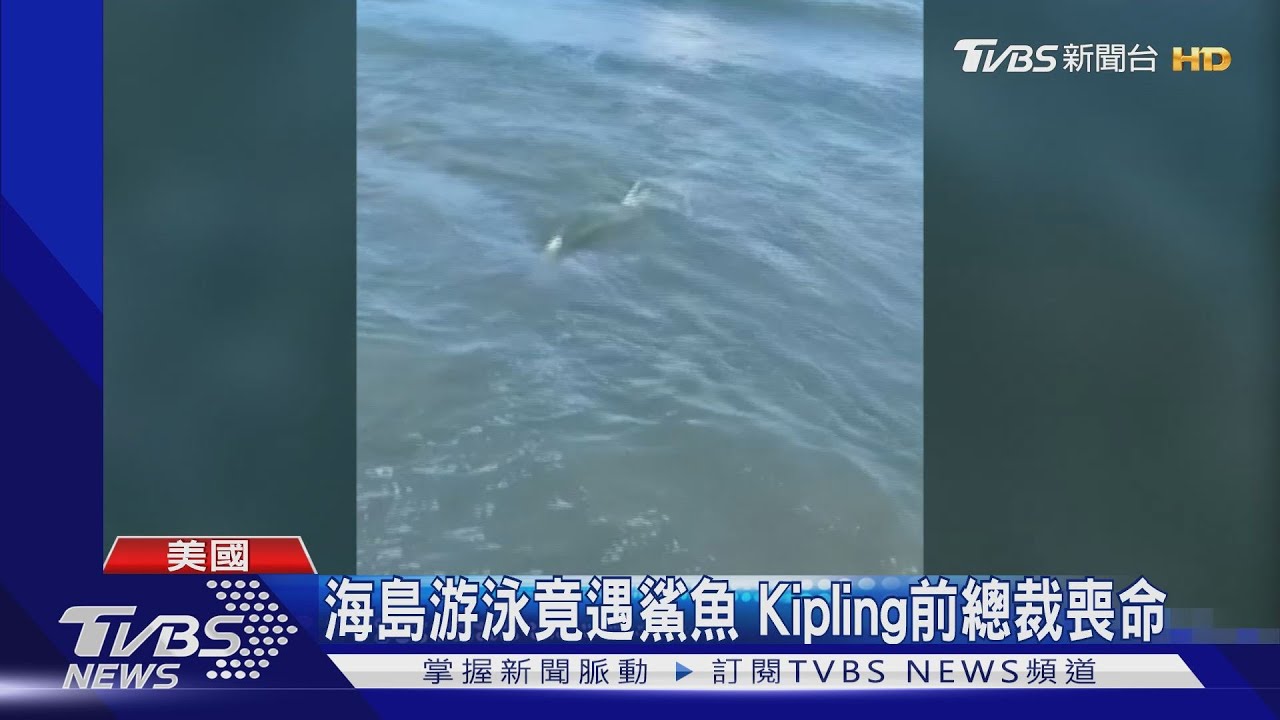 海裡有鯊魚!休假員警反應快 救男童一命