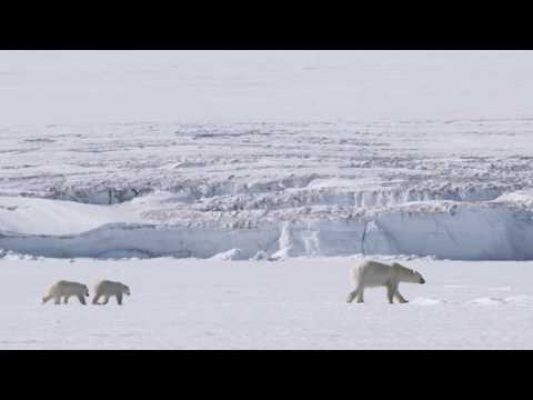 //epsilon-blue // promised me feat.sandy mill