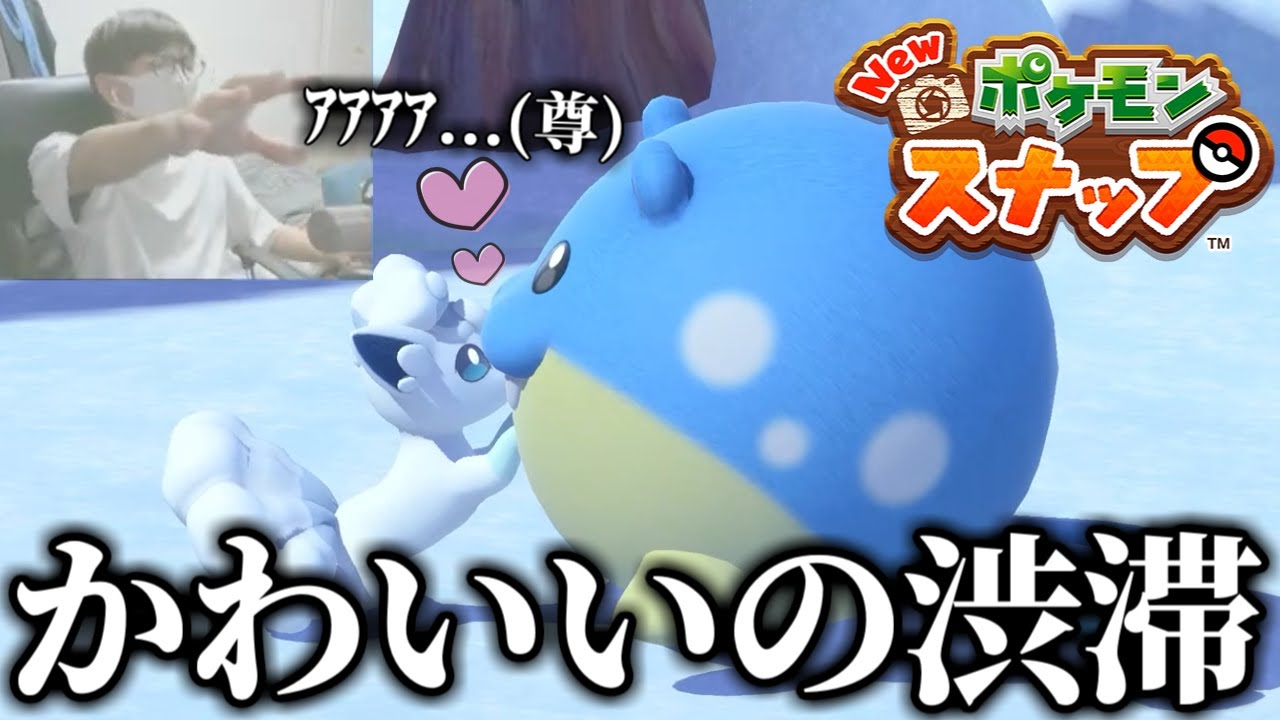 タマザラシとアローラロコンの絡みが可愛すぎた件!?【Newポケモンスナップ】