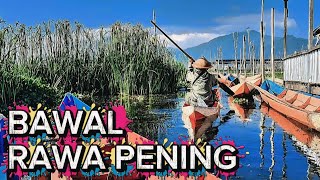 Download lagu Spot mancing // mancing rawa pening terbaru mp3 Download lagu Spot mancing // mancing rawa pening terbaru mp3