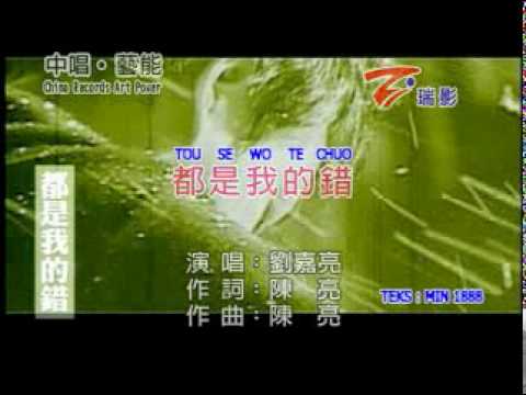 Tou shi wo te cou - Lưu Gia Lượng