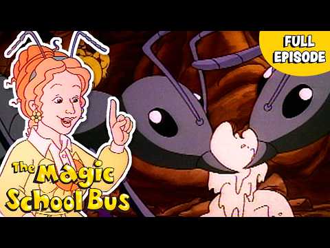 Magic School Bus Gets Ants In Its Pants | Magic School Bus | Scholastic International