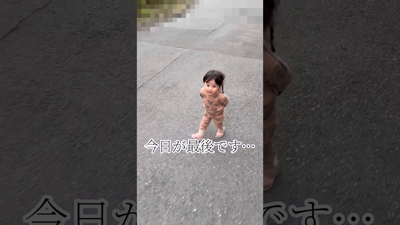 お別れ😭ありがとうございました🌸