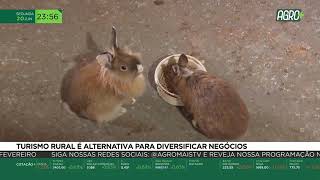 Miniatura do vídeo