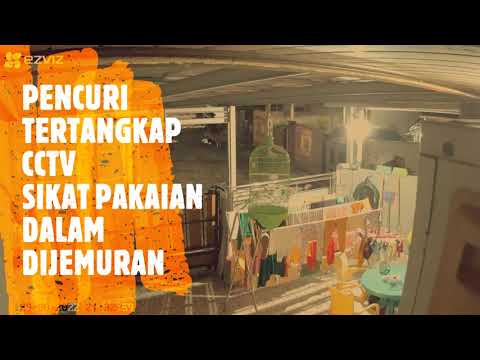 CURI PAKAIAN DALAM DIJEMURAN, PRIA INI TEREKAM CCTV