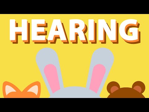 HEARING ♫ | Five Senses Song | Wormhole Learning - Songs For Kids