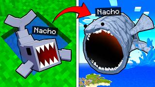 Video thumbnail image