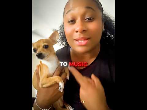 This Dog Has a Special Talent❤️🐶