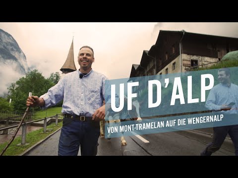 Auf die Alp - ein Alpaufzug von Mont-Tramelan auf die Wengernalp. | Reportagen | Studio 1