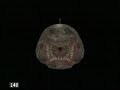 Men In Black 2 Jeff The Worm Featurette