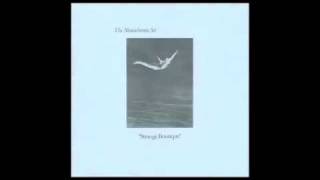 The Monochrome Set - Tomorrow Will Be Too Long